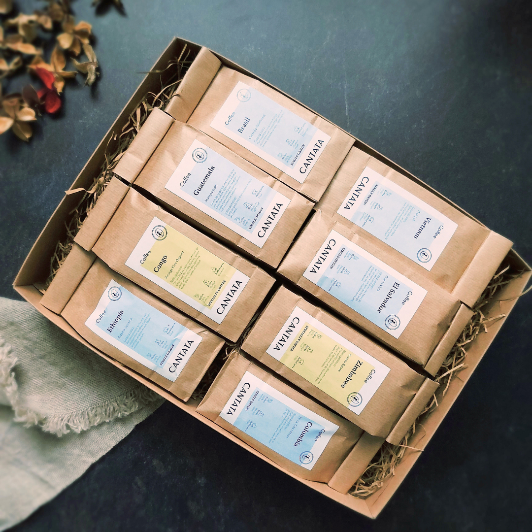 Around the World in 80 Days - Pack découverte café