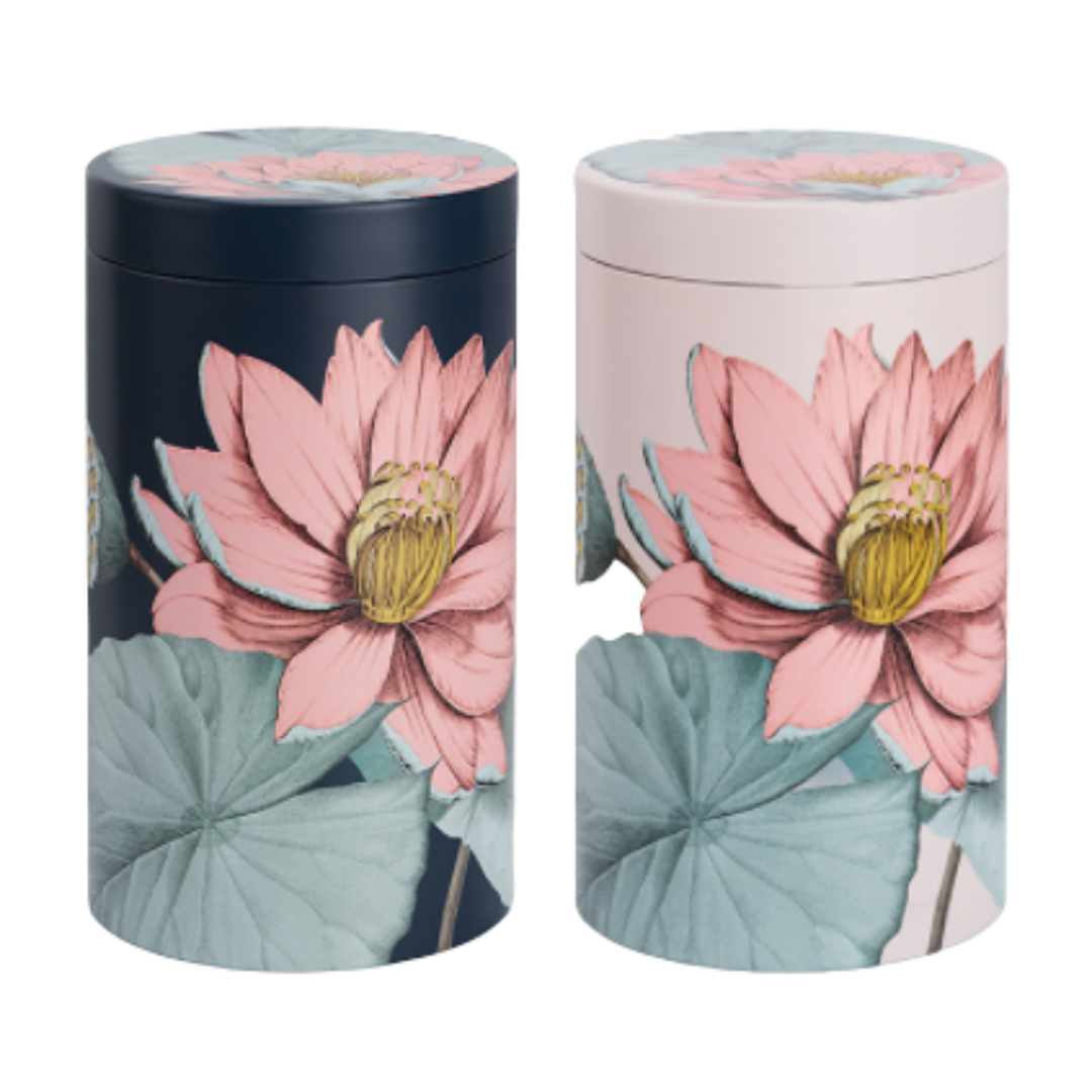 Boîte de conservation Padma 500g