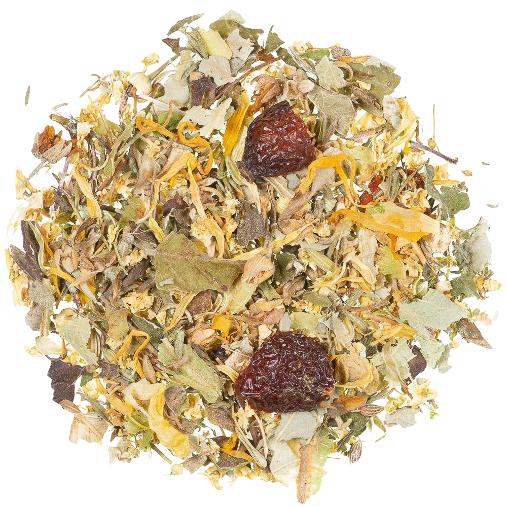Infusion Hatschi