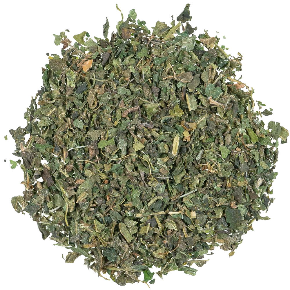 Infusion Nettle Leaves