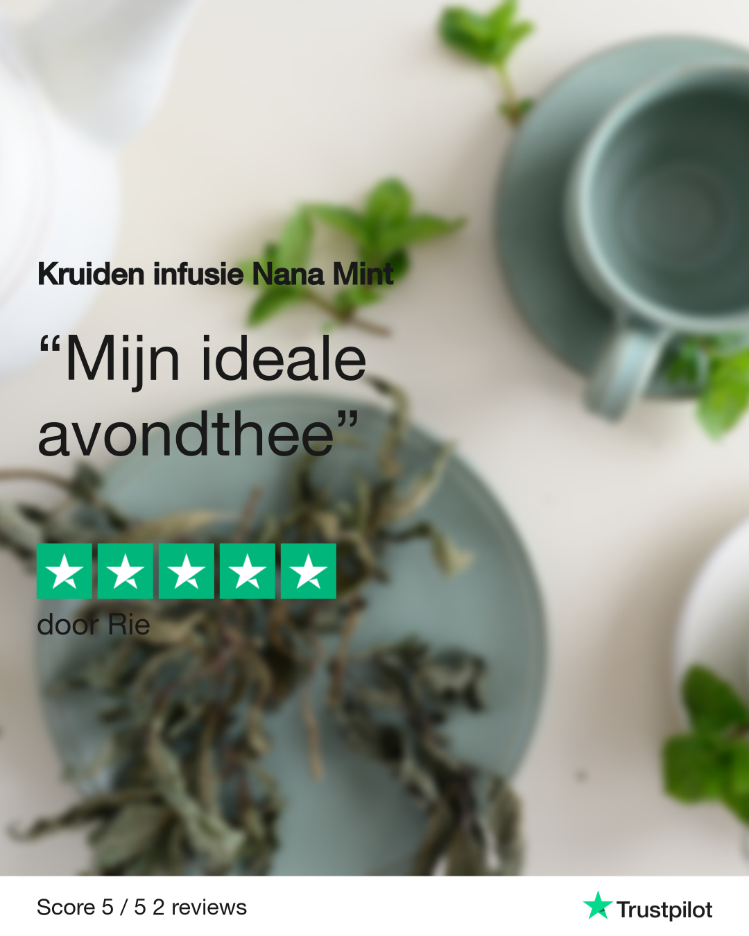 Infusion Nana Mint