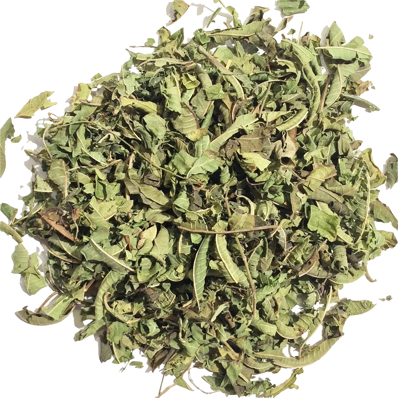 Infusion Vervain